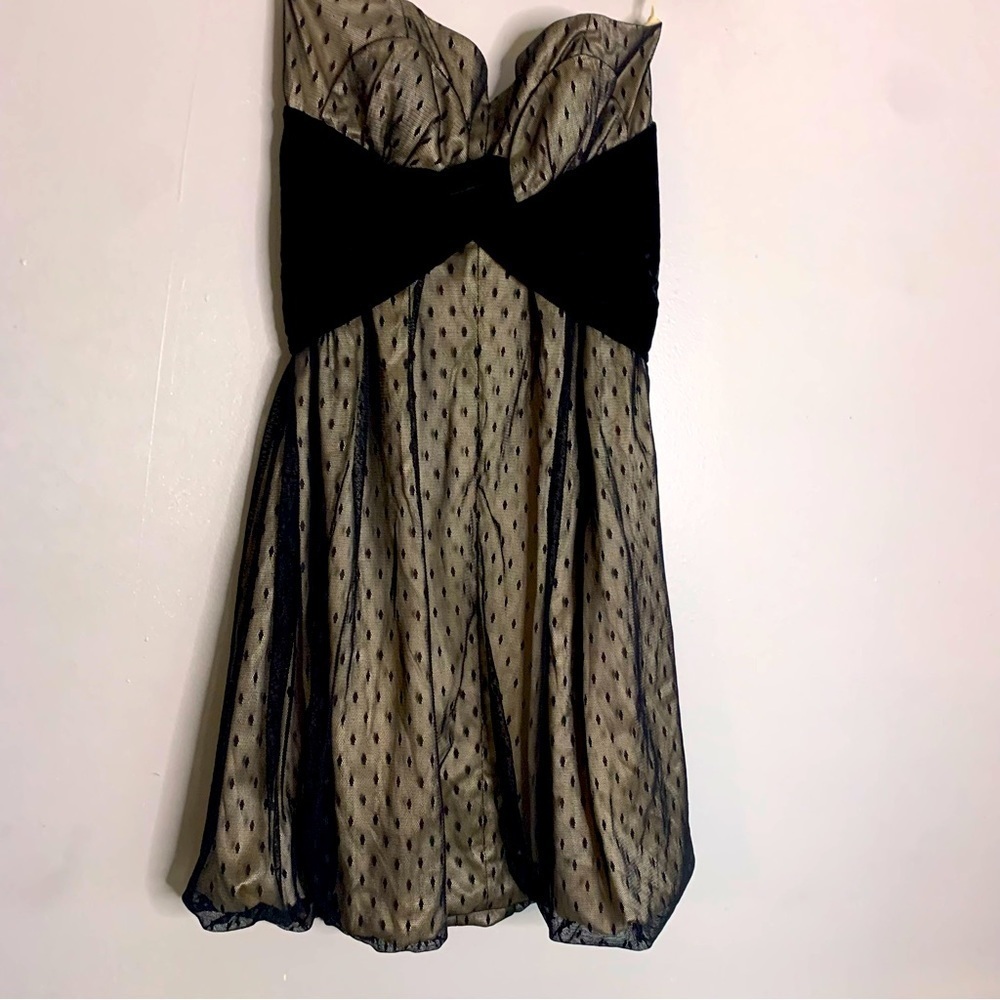 Tracy Reese strapless sweetheart mini dress Swiss dot black women’s 8